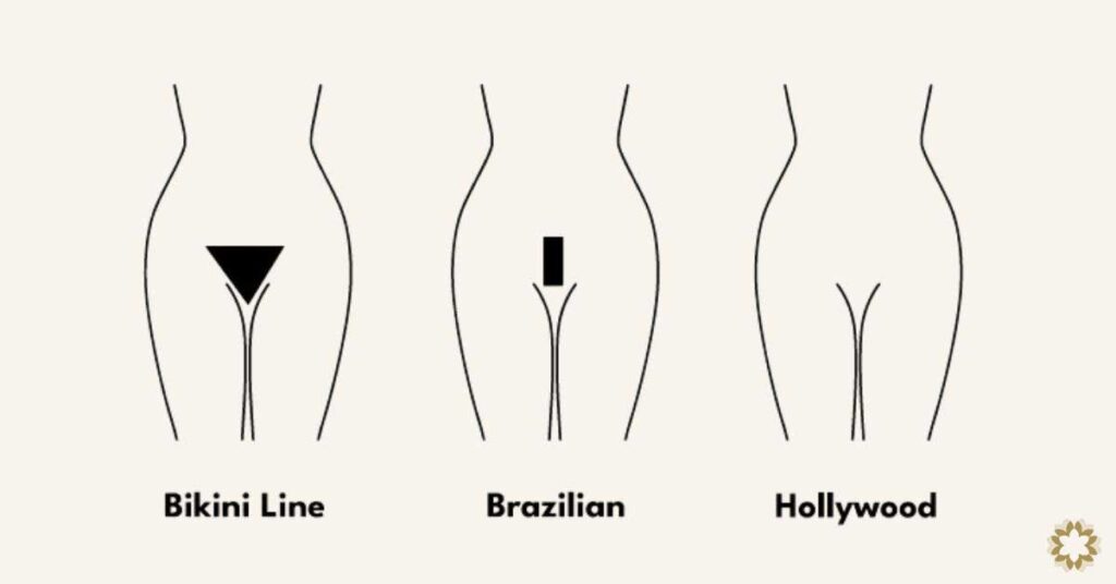 Brazilian Vs Bikini Vs Hollywood